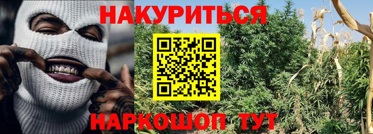 Канабис планчик Пенза